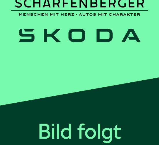 Das Bild zeigt das Logo von Scharfenberger, einer Skoda-Händlermarke.